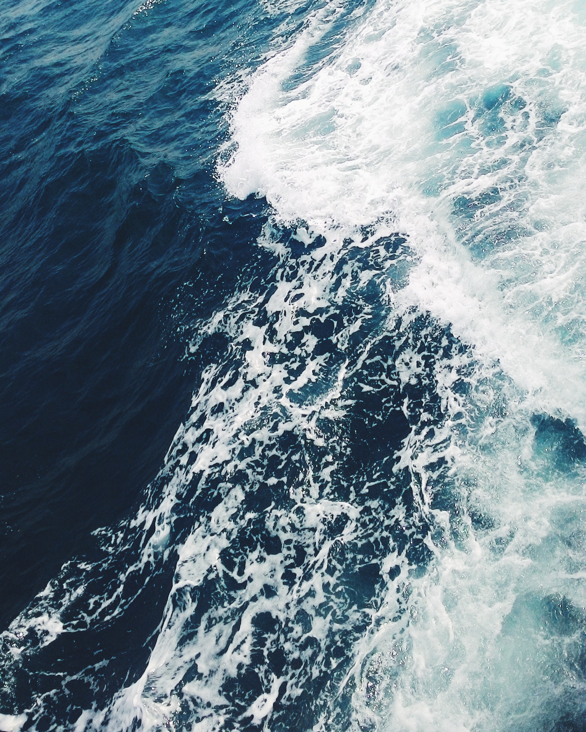 Foto di Thach Tran: https://www.pexels.com/it