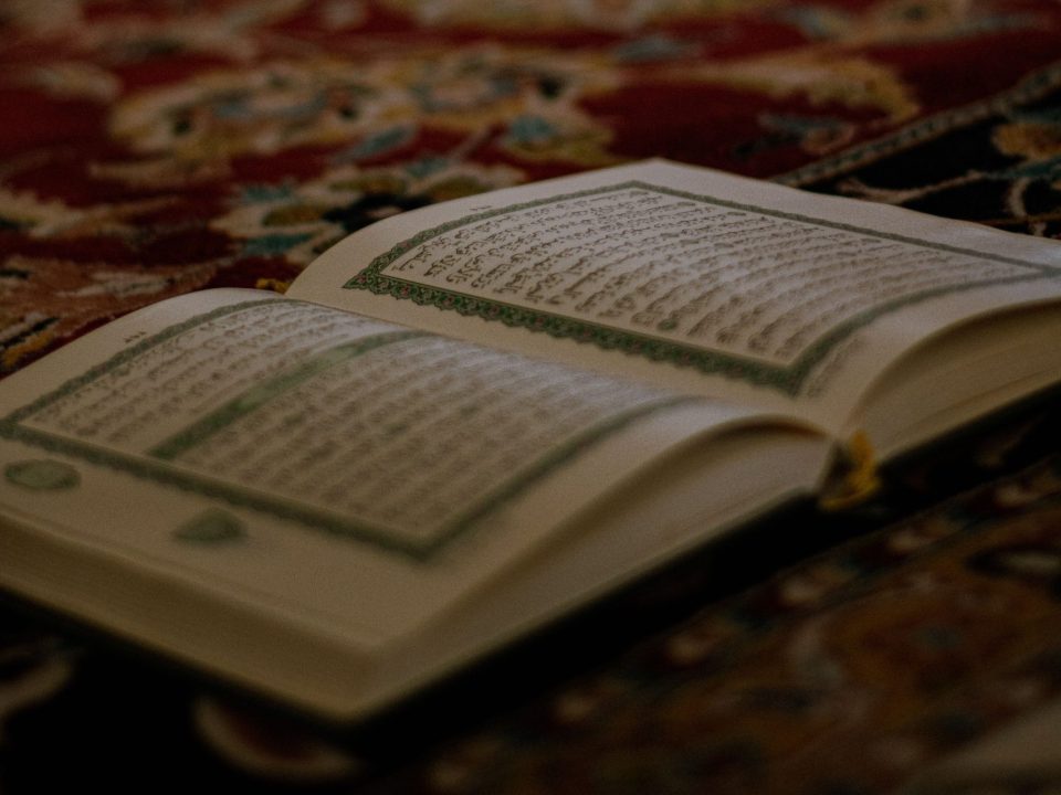 Foto di Arzu Ibaeva: https://www.pexels.com/it-it/foto/amore-riflesso-tappeto-cerimonia-27099104/